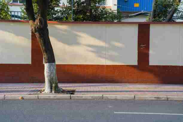 黄金档 91网2024增长引擎【收藏】