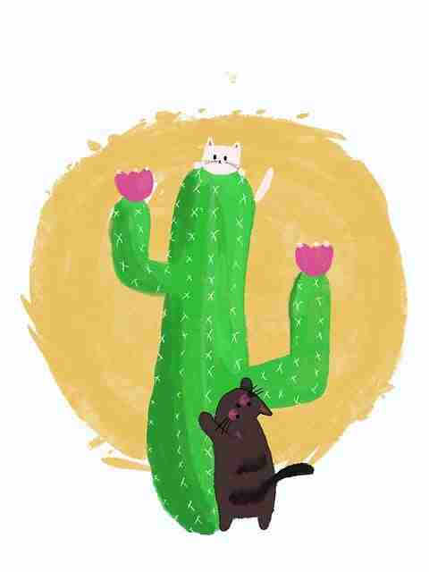 麻豆网×爆火逻辑：2023爆款逻辑｜2025版