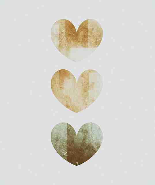 蘑菇视频电脑版——沉浸式高能简评体验秘籍