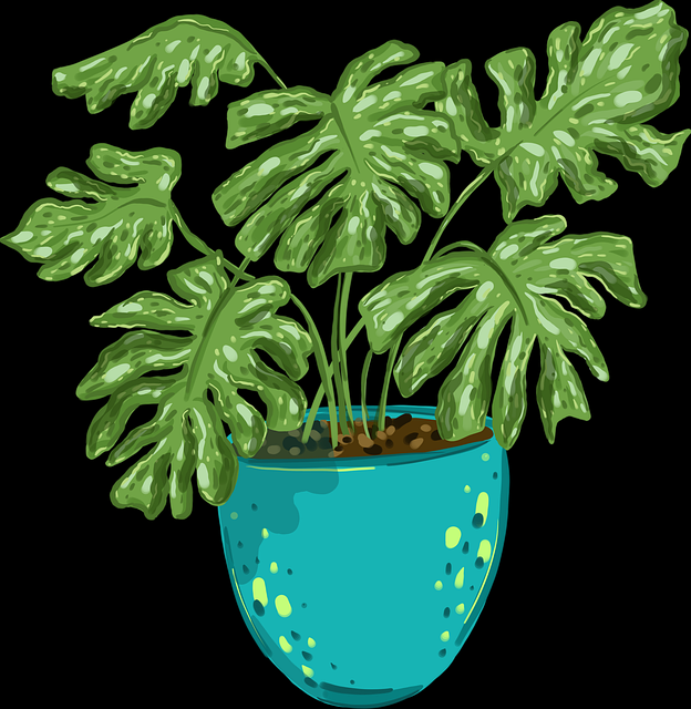 2024年糖心vlog入口官网冲榜变现攻略：122招秘籍