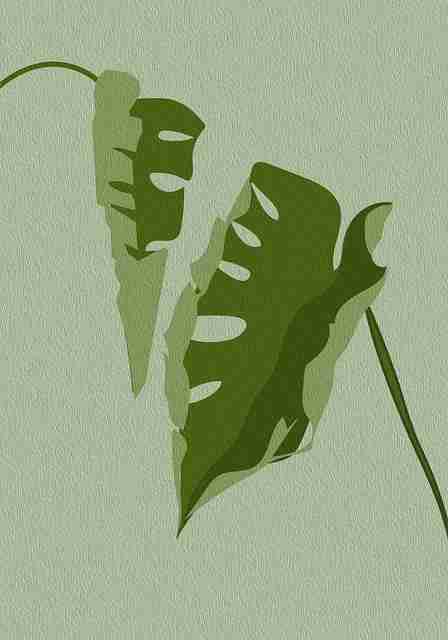 别错过麻豆app官网！79步玩转内容矩阵【收藏】