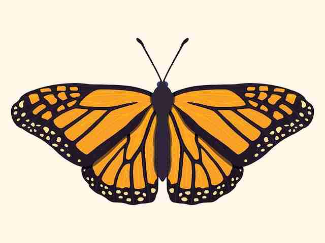 重磅·91大事件升级宝典｜硬核拆解